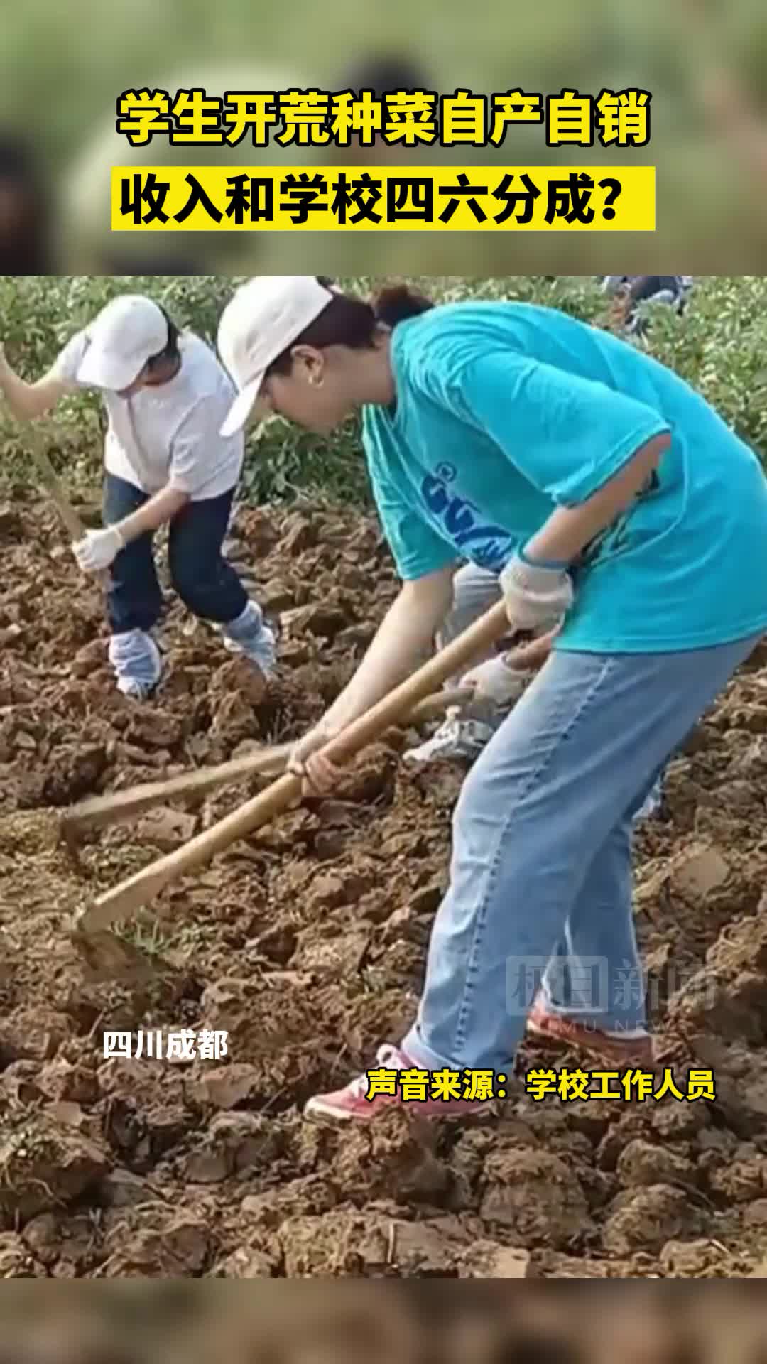 学生开荒种菜自产自销只得六成? 校方: 收入全归学生