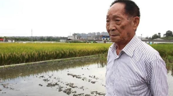 网红与袁隆平同时进小学试卷, 引起一片争议, 家长质疑她何德何能