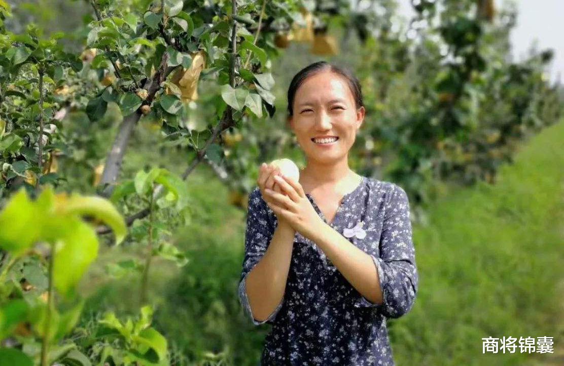 清华博士后石嫣: 毕业后回国种地, 靠新模式农场年入八百万!