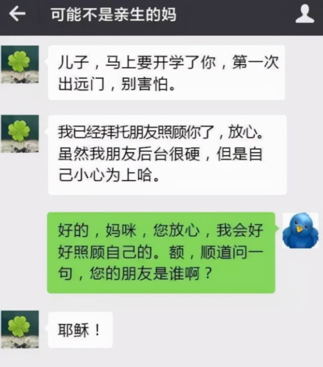 “狗不喜欢住猪窝”，大学生和父母的聊天记录走红，句句精准暴击