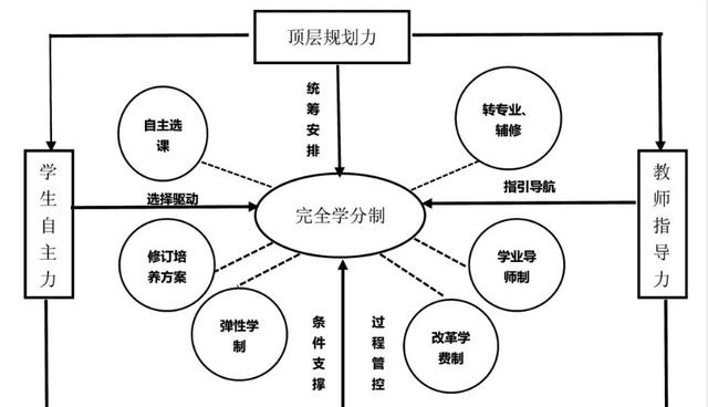 同济大学、西北大学、海南大学新生: 本科三年可毕业!