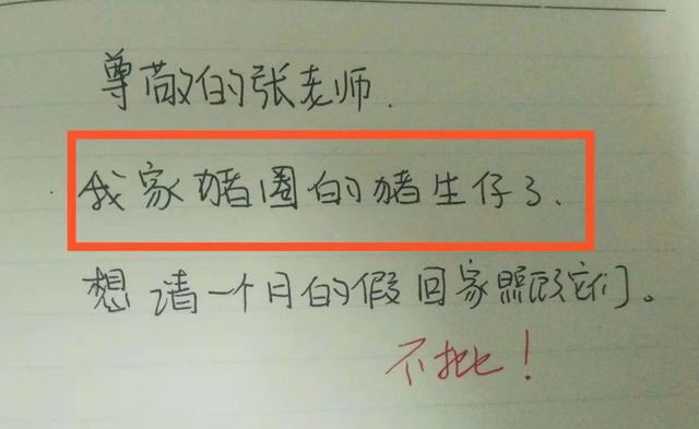 小学生的“请假条”因“过于可爱”火了起来, 网友笑出腹肌八块