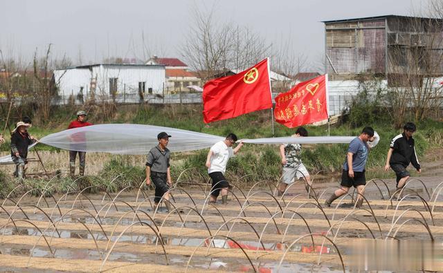 常德职业技术学院: 田间地头摆课堂 学习助农两不误